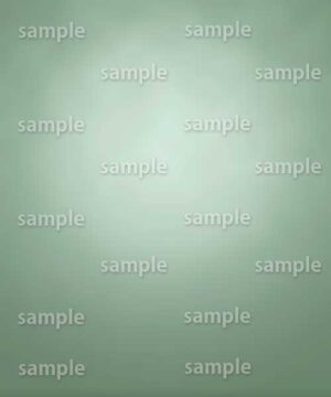 Alternative view of 遺影背景 H094