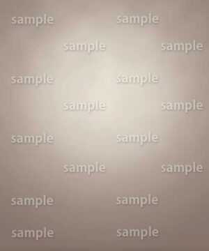 Alternative view of 遺影背景 H096