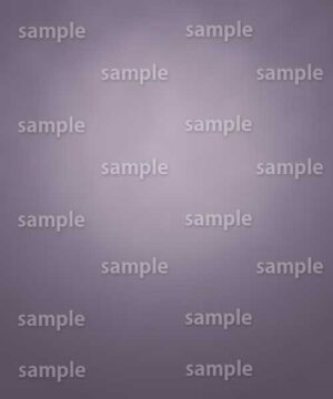 Alternative view of 遺影背景 H097