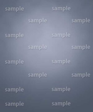 Alternative view of 遺影背景 H099